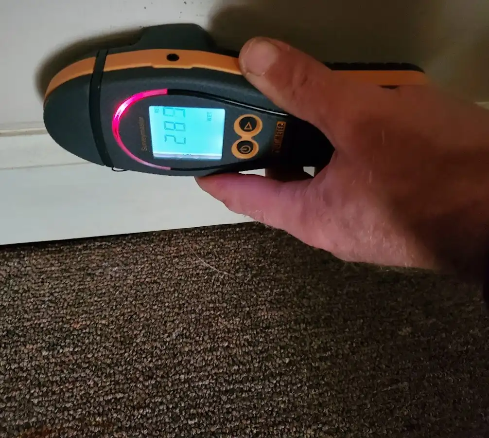 Moisture detection at baseboard during Sewage Cleanup & Sanitation in Salisbury